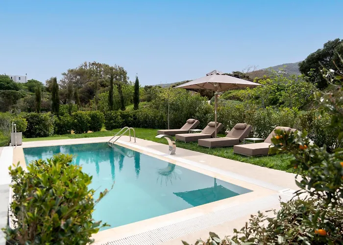 Villa With Private Pools By Explore Ándros