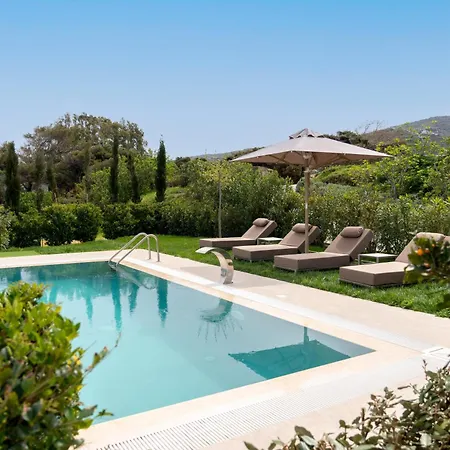 Villa Suitehome With Private Pools By Explore Andros Town